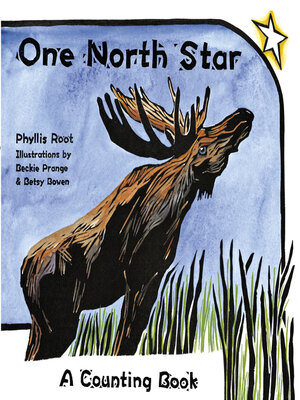cover image of One North Star